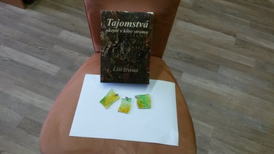 20161207 140742 PerfectPhoto.cz 2016-12-09 10-48-25