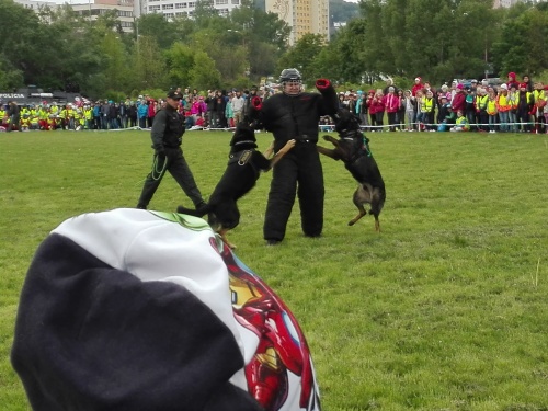 IMG 20170509 102445 zmensena